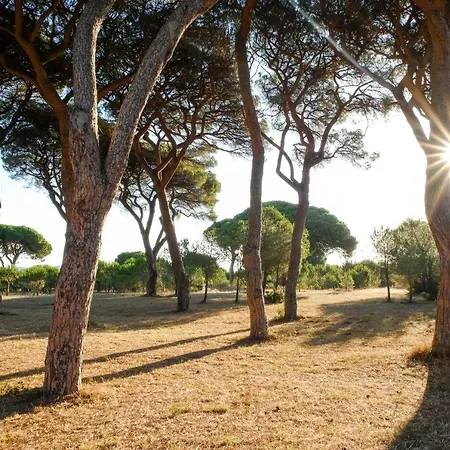 La Canova Ii