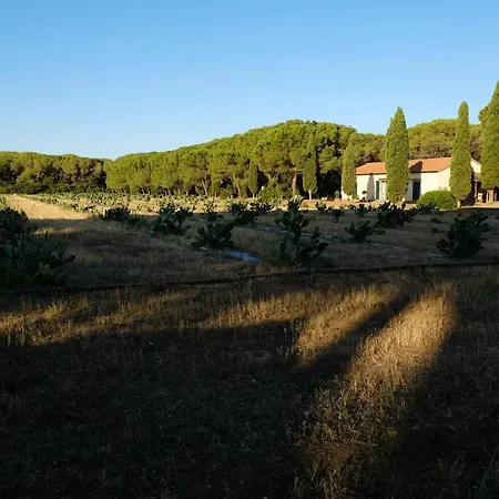 Aparthotel La Canova Ii 3*