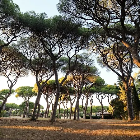 Aparthotel La Canova Ii Marina di Grosseto